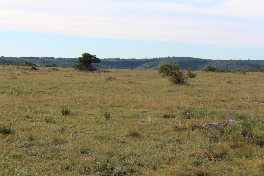 1 Bedroom Property for Sale in Bathurst Rural Eastern Cape